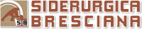 Siderurgica Bresciana Logo