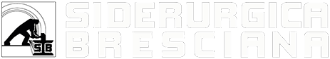 logo siderurgica bresciana